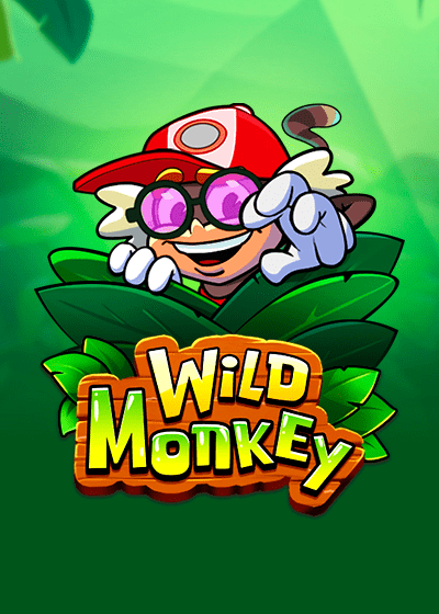 Wild Monkey