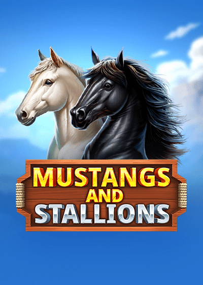 Mustangs and Stallions