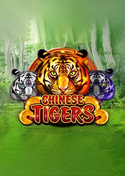 Chinese Tigers