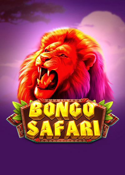 Bongo Safari