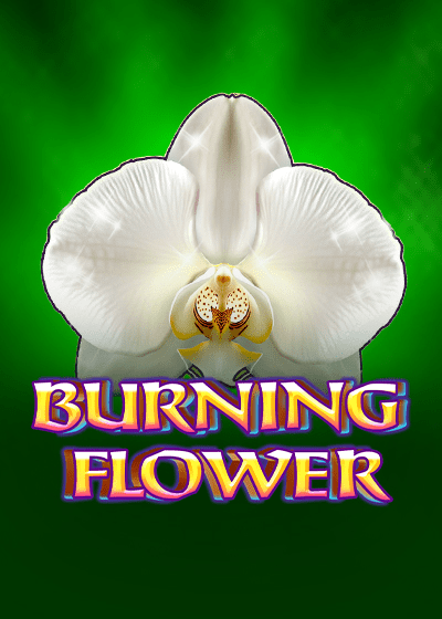 Burning Flower